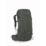 Kestrel 38 Bonsai Green
