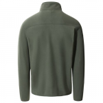 Polaire Demi Zip 100 Glacier Thyme