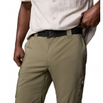 Pantalon Silver Ridge Utility Stone Green