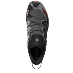 XA Pro 3D V9 Castelrock