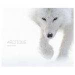 Arctique - Beaux Livres | Kobalann