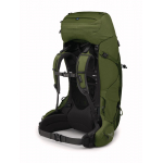 Aether 65 Garlic Mustard Green