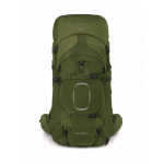 Aether 65 Garlic Mustard Green