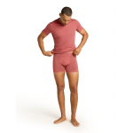 Boxer Anatomica Plume