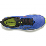 Peregrine 12 Blue Raz Acid