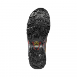Ultra Raptor 2 Gtx Savana / Night Sky
