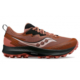 Peregrine 14 Gtx F Clove