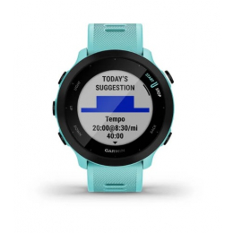 Forerunner 55 Vert D'eau