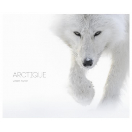 Arctique - Beaux Livres | Kobalann