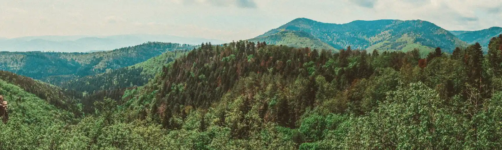 Chullanka Metz